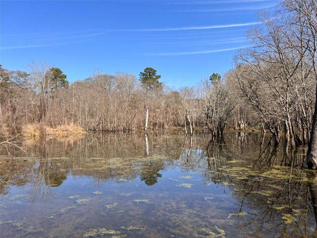 215 Garden West Road, Conroe, TX 77304