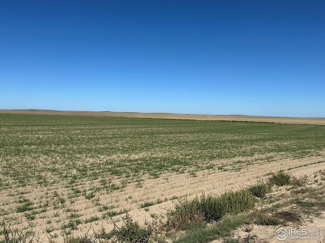 18807 County Road P Rd, Kit Carson, CO 80825