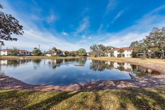 10336 CARROLLWOOD LANE 106, Tampa, FL 33618