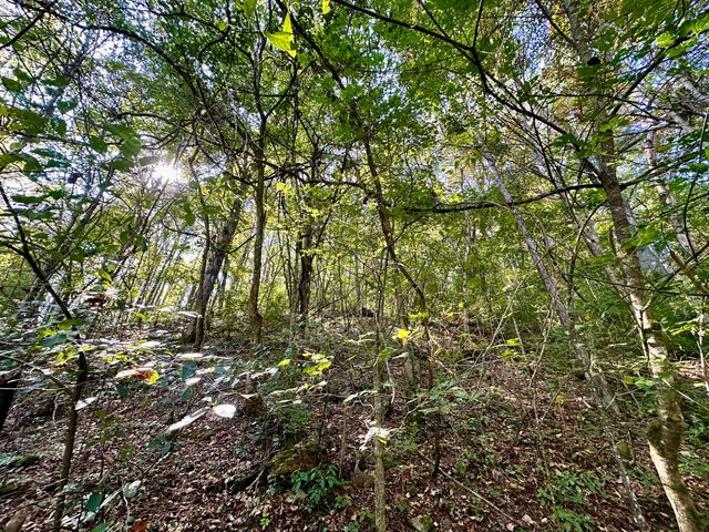 1010 Hill City Road, Maysville, KY 41056