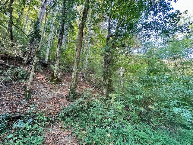 1010 Hill City Road, Maysville, KY 41056