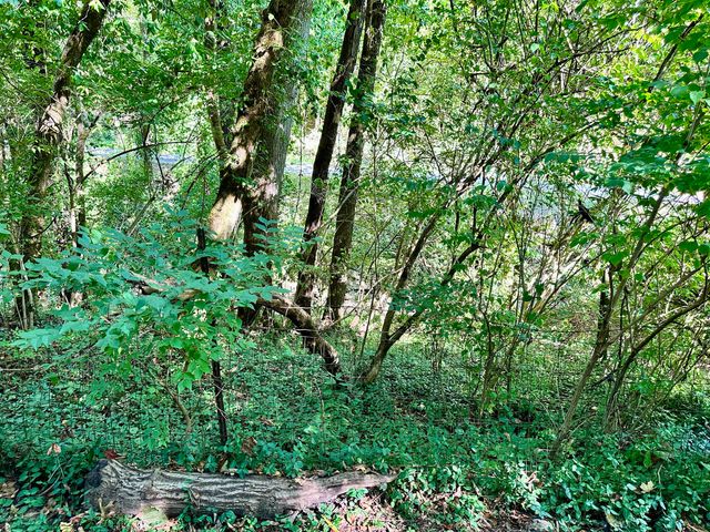 1010 Hill City Road, Maysville, KY 41056