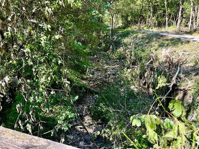 1010 Hill City Road, Maysville, KY 41056