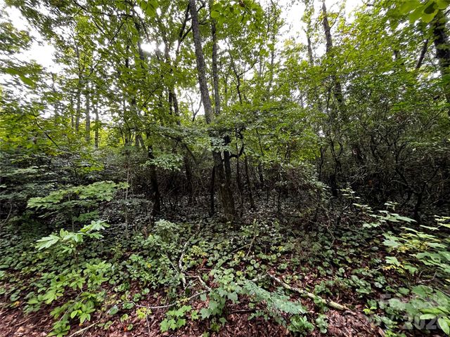 462 Autumn Forest Drive, Gerton, NC 28735