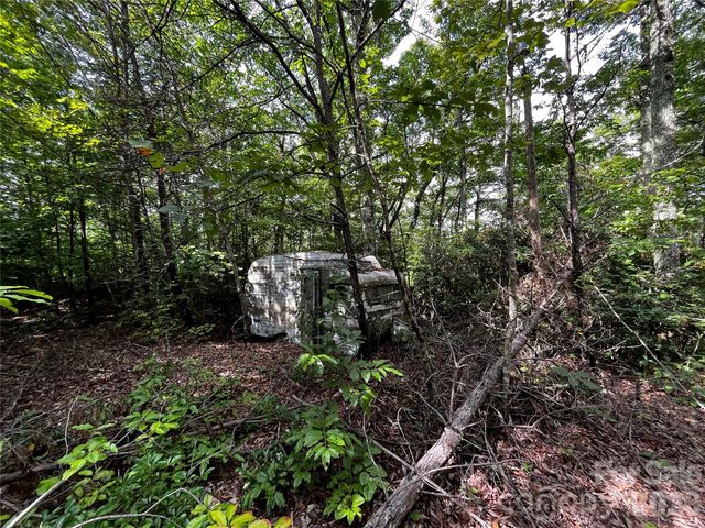 462 Autumn Forest Drive, Gerton, NC 28735