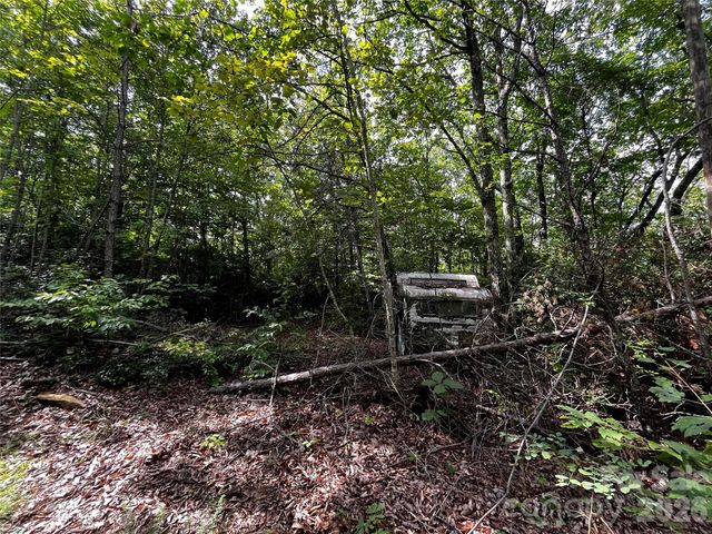 462 Autumn Forest Drive, Gerton, NC 28735