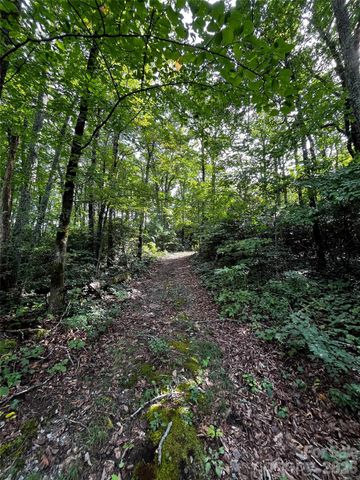462 Autumn Forest Drive, Gerton, NC 28735