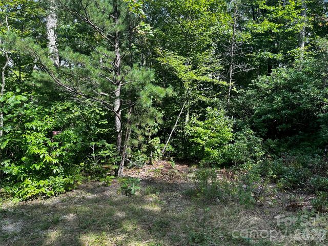 462 Autumn Forest Drive, Gerton, NC 28735
