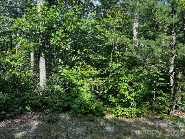 462 Autumn Forest Drive, Gerton, NC 28735