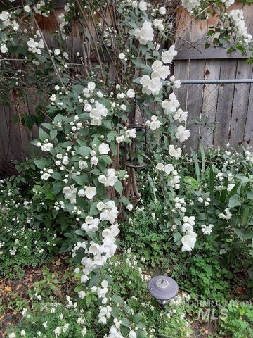 1410 N 20th Street, Boise, ID 83702