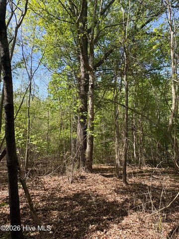 7818-1 McGregor Road, Nashville, NC 27856