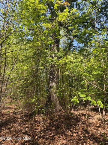 7818-1 McGregor Road, Nashville, NC 27856
