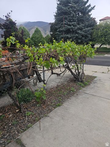 444 S 100 E, Springville, UT 84663