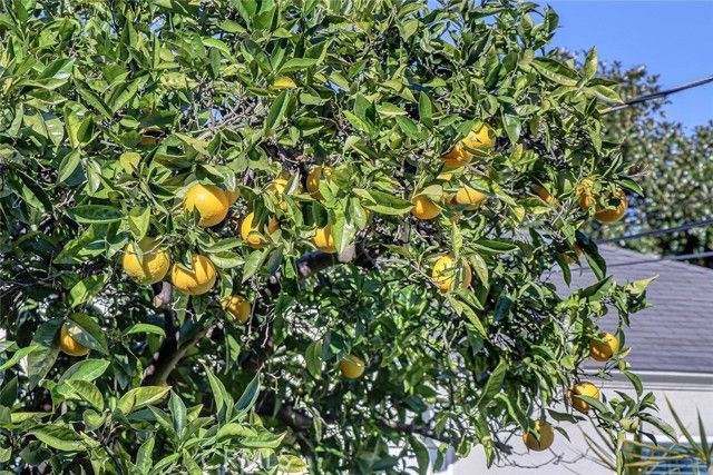 1428 Ocean Park, Santa Monica, CA 90405