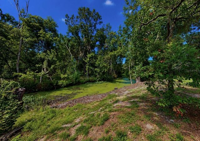 1005 HIGHGROVE COURT, Valrico, FL 33596