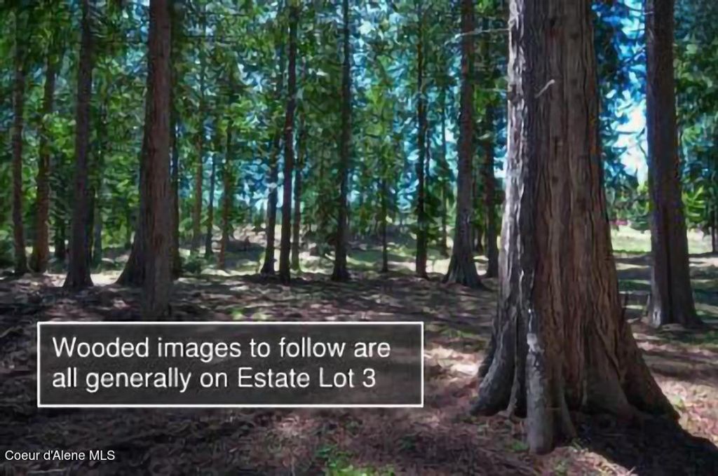 Est 3 & 4 Camp Bay Estates, Sagle, ID 83860 photo 12