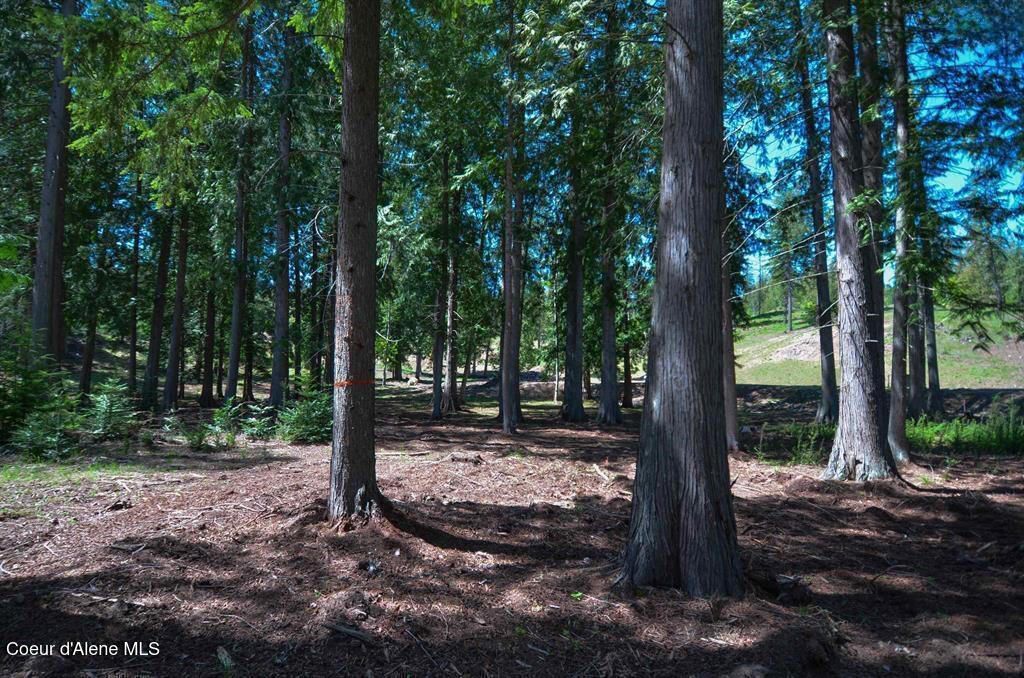 Est 3 & 4 Camp Bay Estates, Sagle, ID 83860 photo 13