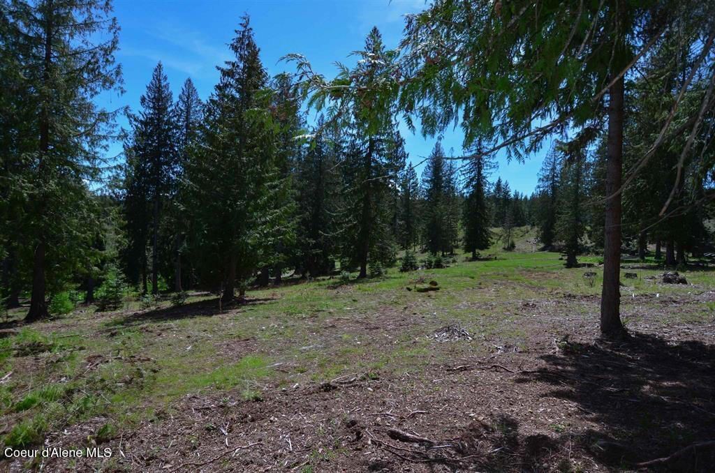 Est 3 & 4 Camp Bay Estates, Sagle, ID 83860 photo 17