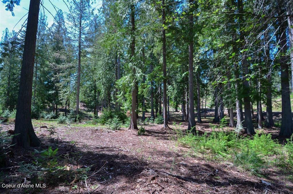 Est 3 & 4 Camp Bay Estates, Sagle, ID 83860 photo 18