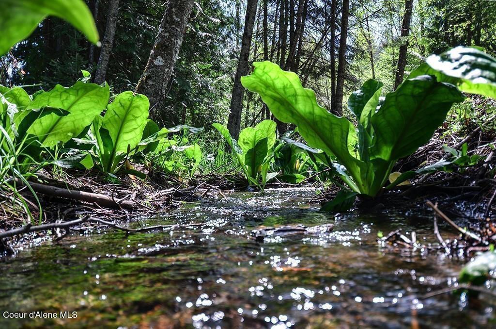 Est 3 & 4 Camp Bay Estates, Sagle, ID 83860 photo 27