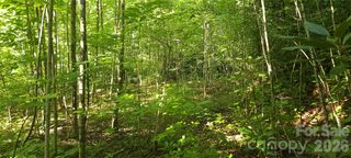 Lot# 19 Mill Creek Road, Old Fort, NC 28762