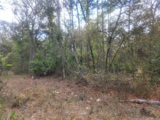 7446 SW 151ST PLACE, Dunnellon, FL 34432