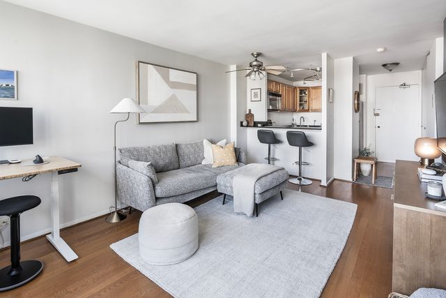 88 W Schiller Street 1003L, Chicago, IL 60610