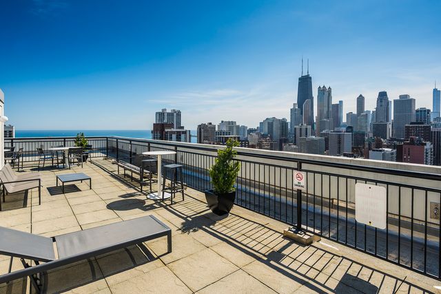 88 W Schiller Street 1003L, Chicago, IL 60610