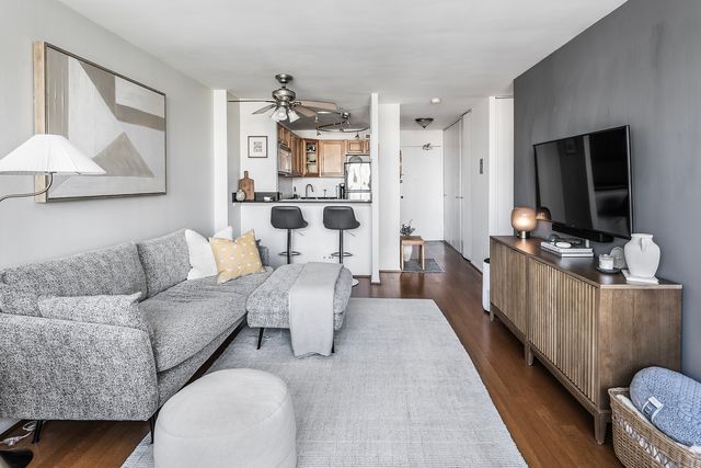 88 W Schiller Street 1003L, Chicago, IL 60610