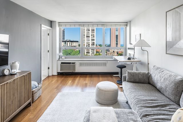 88 W Schiller Street 1003L, Chicago, IL 60610