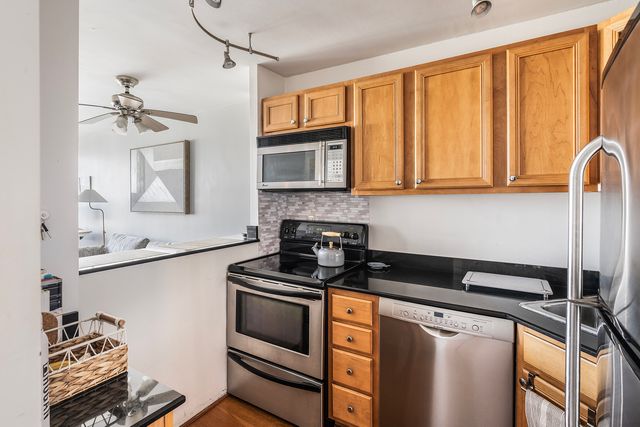 88 W Schiller Street 1003L, Chicago, IL 60610