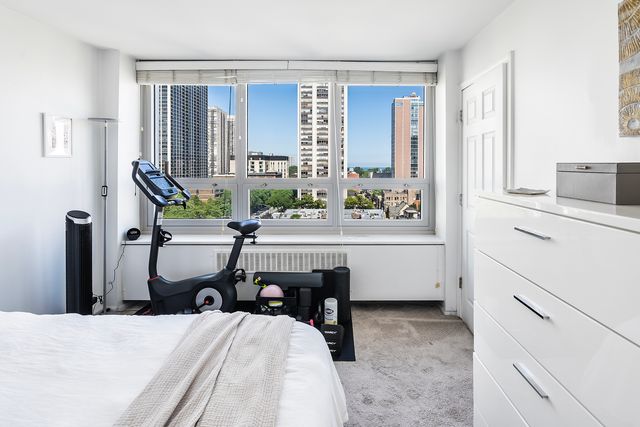 88 W Schiller Street 1003L, Chicago, IL 60610