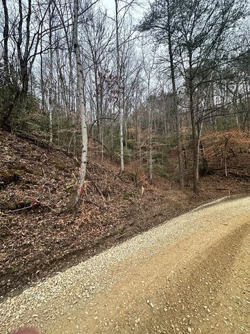 0 Tatham Gap Road, Andrews, NC 28901