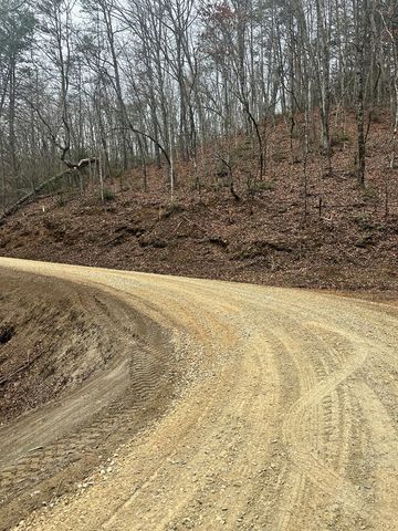 0 Tatham Gap Road, Andrews, NC 28901