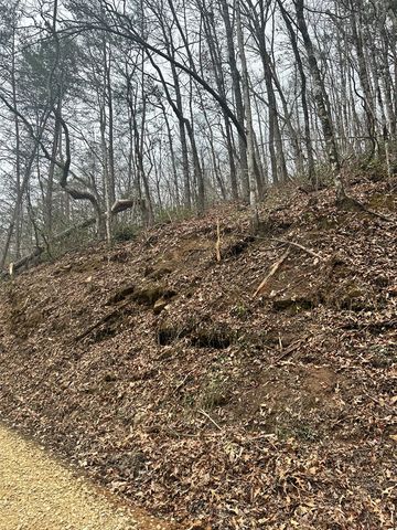 0 Tatham Gap Road, Andrews, NC 28901