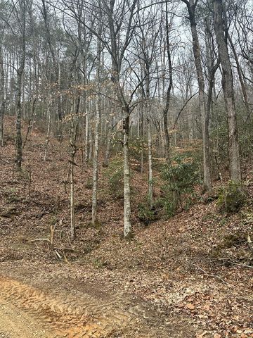 0 Tatham Gap Road, Andrews, NC 28901