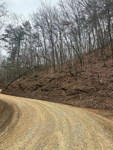 0 Tatham Gap Road, Andrews, NC 28901