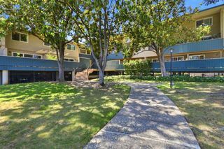 7150 Rainbow Drive 3, San Jose, CA 95129