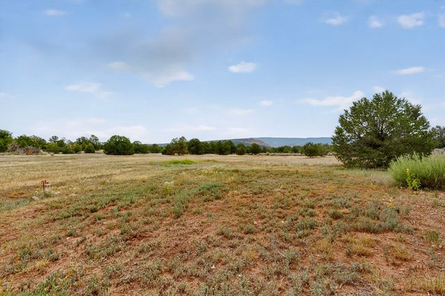 2885 State Highway 96, Coyote, NM 87012