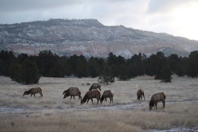 2885 State Highway 96, Coyote, NM 87012