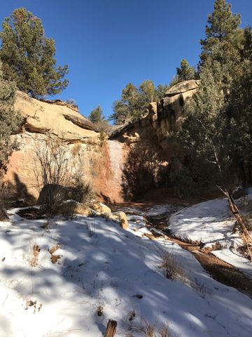 2885 State Highway 96, Coyote, NM 87012