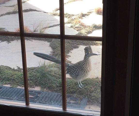 2885 State Highway 96, Coyote, NM 87012