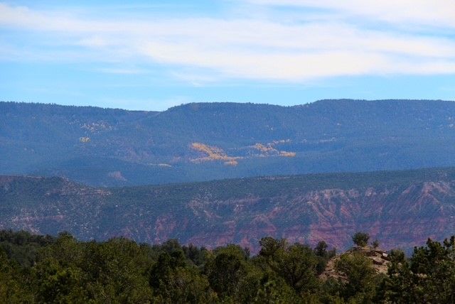 2885 State Highway 96, Coyote, NM 87012