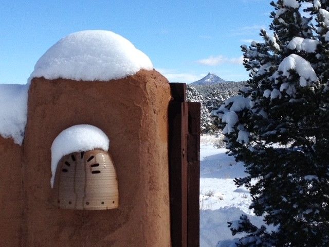 2885 State Highway 96, Coyote, NM 87012