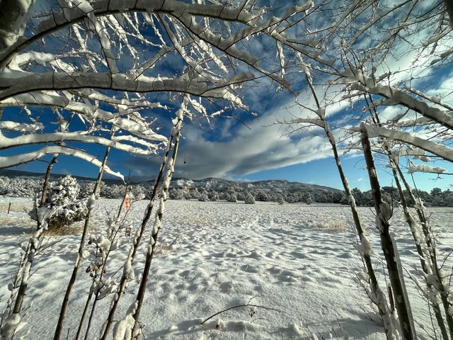 2885 State Highway 96, Coyote, NM 87012