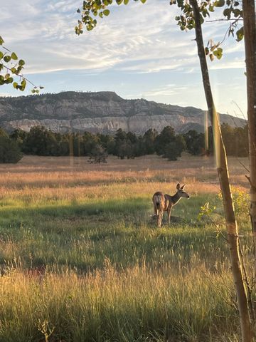 2885 State Highway 96, Coyote, NM 87012