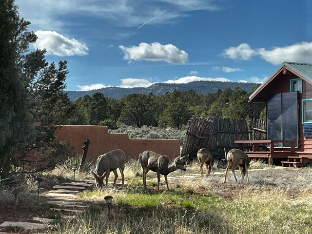 2885 State Highway 96, Coyote, NM 87012