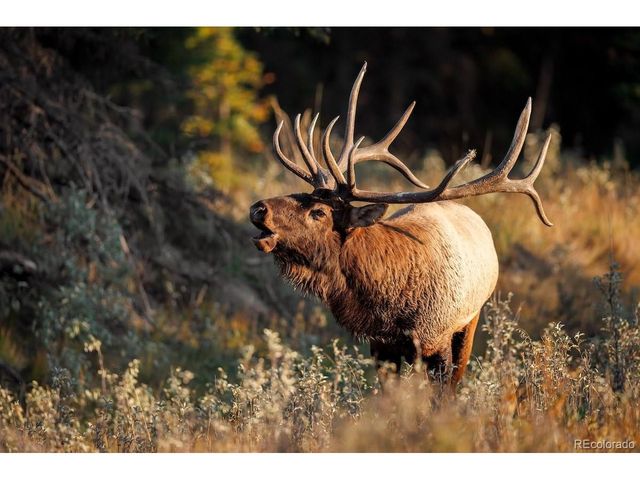 3025 Yucca Dr, Evergreen, CO 80439