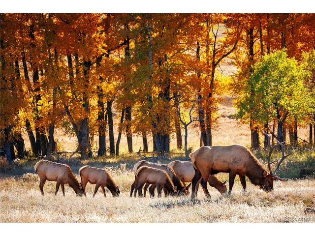 3025 Yucca Dr, Evergreen, CO 80439