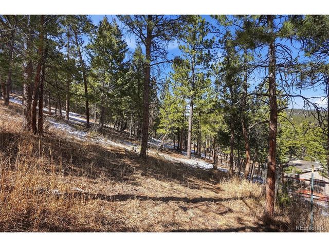 3025 Yucca Dr, Evergreen, CO 80439